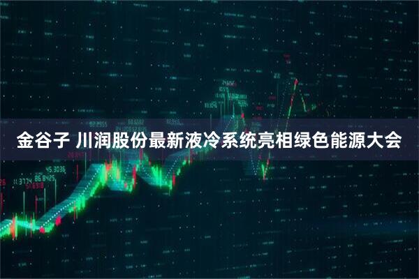 金谷子 川润股份最新液冷系统亮相绿色能源大会