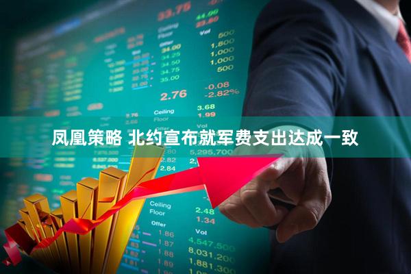 凤凰策略 北约宣布就军费支出达成一致