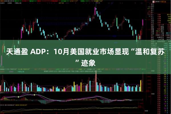 天通盈 ADP：10月美国就业市场显现“温和复苏”迹象
